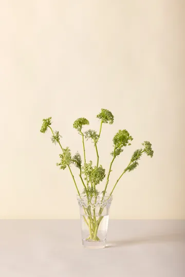 Wazon Köpenhamn - Przezroczysty, 18,5 cm - Bergs Potter