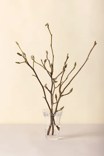 Wazon Köpenhamn - Przezroczysty, 18,5 cm - Bergs Potter