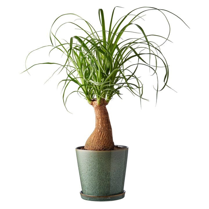 Donica Bitz ze spodkiem Ø14 cm, Zielono-czarny Bitz