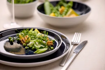 Talerz Bitz Gastro Ø 21 cm - Biało-granatowy - Bitz