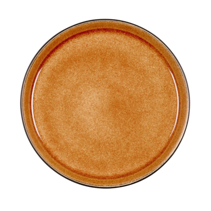 Talerz Bitz Gastro Ø 21 cm, Czarno-bursztynowy Bitz