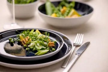 Talerz Bitz Gastro Ø27 cm - Biało-granatowy - Bitz