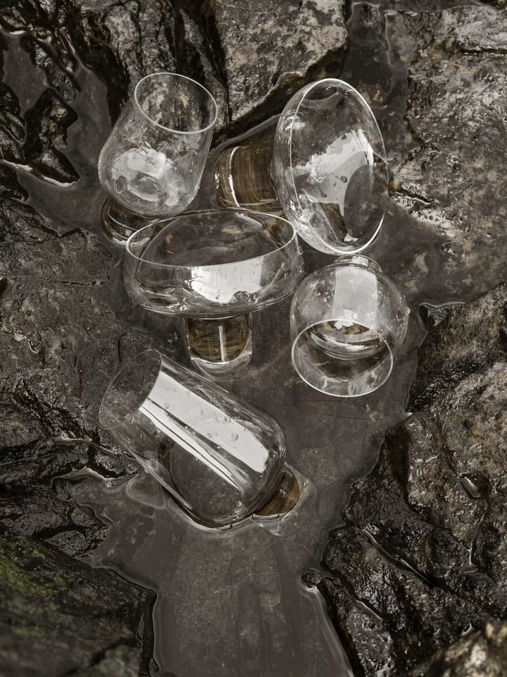 Kieliszek do prosecco Koyoi 20 cl, Przezroczysty Blomus