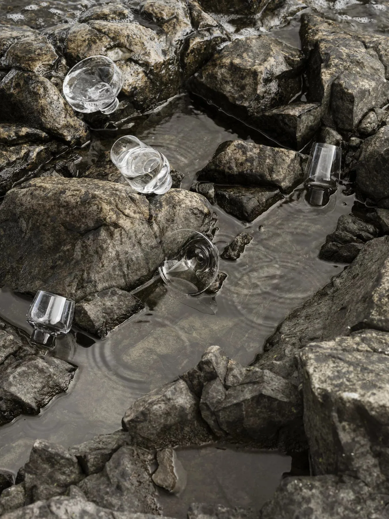 Kieliszek do prosecco Koyoi 20 cl, Przezroczysty blomus