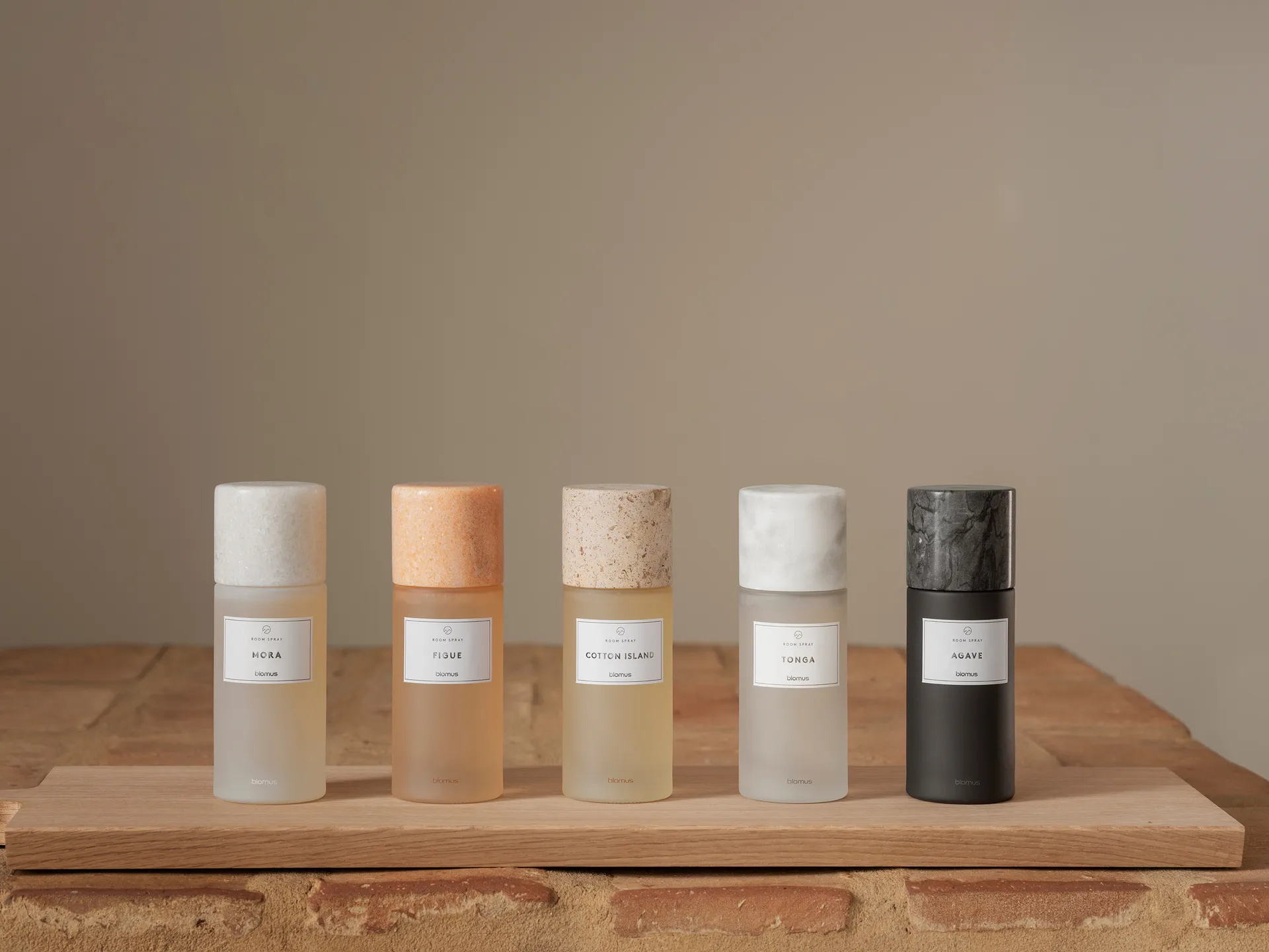 Spray do pomieszczeń Frabli 100 ml, Agave Magnes blomus