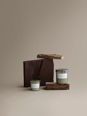 Świeca zapachowa Valoa 30 godzin - Fikon/Lime Agave Green - blomus