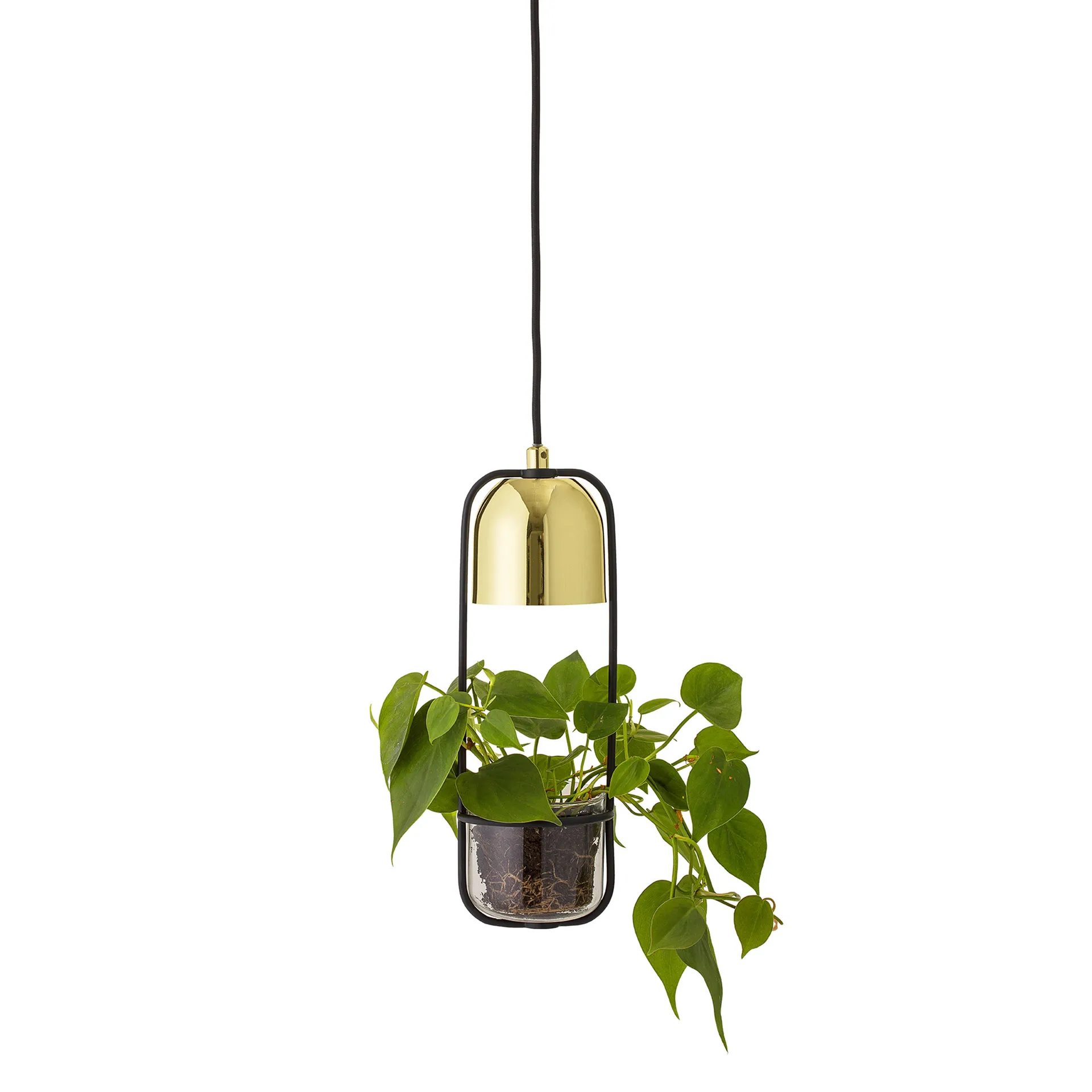 Lampa wisząca z doniczką Bloomingville Ø10 cm, przezroczysty - złoty Bloomingville