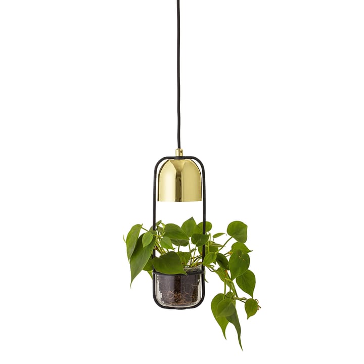 Lampa wisząca z doniczką Bloomingville Ø10 cm - przezroczysty - złoty - Bloomingville