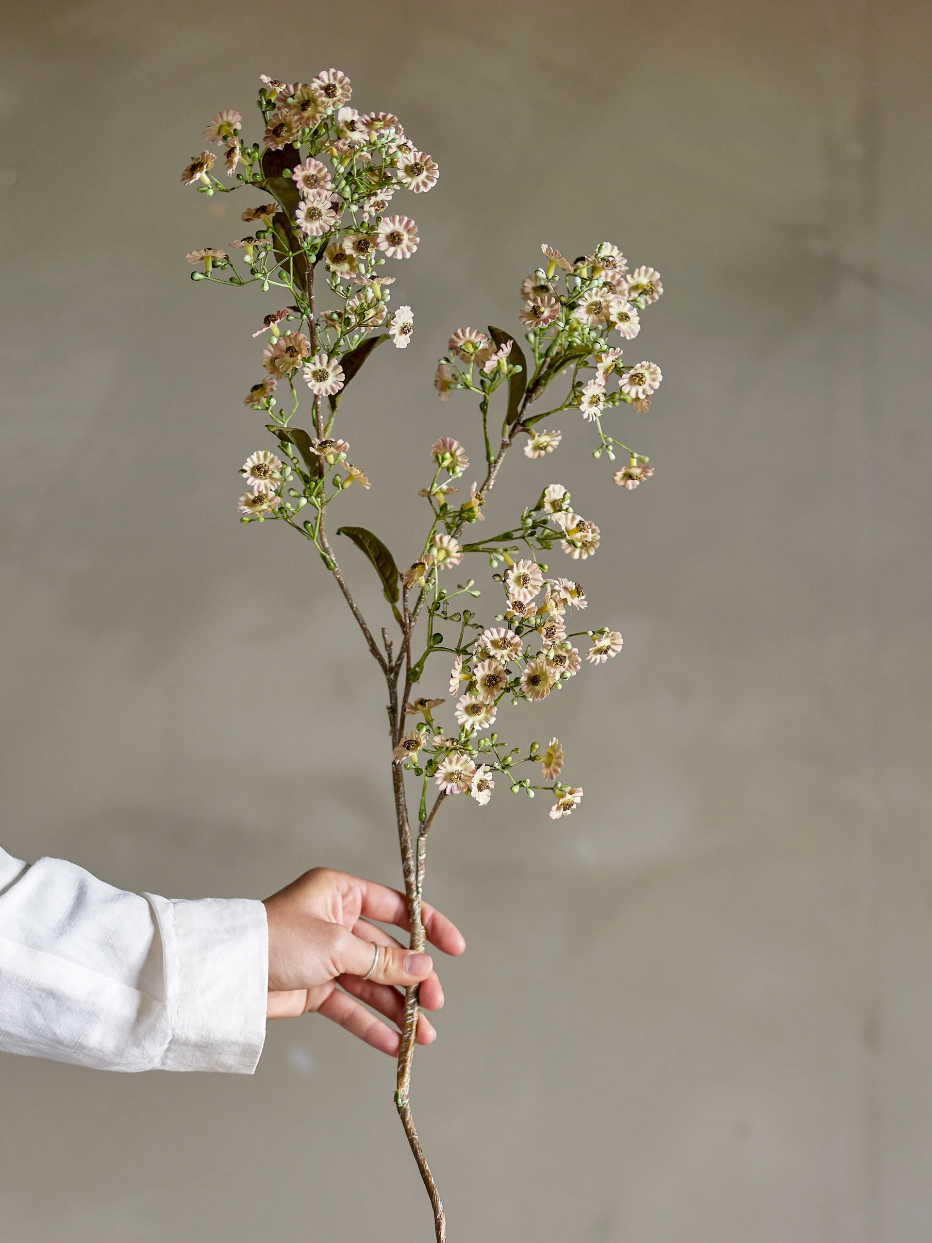 Woskówka Stem, Biały Bloomingville