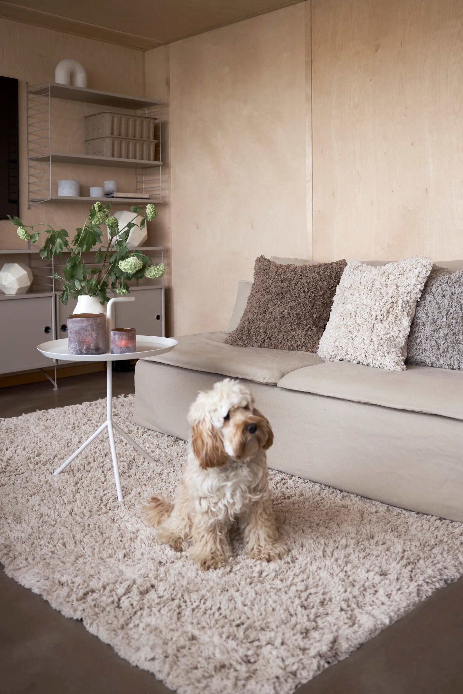 Dywan bawełniany Noma 160x230 cm, Beż Boel & Jan