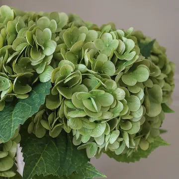 Bukiet sztucznych hortensji - Moss green, 51 cm, 6 szt. - Botané