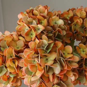 Bukiet sztucznych hortensji - Orange, 60 cm, 6 szt. - Botané