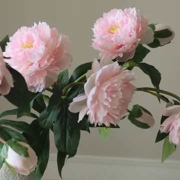 Bukiet sztucznych piwonii - Medium, różowy, 5 szt. - Botané