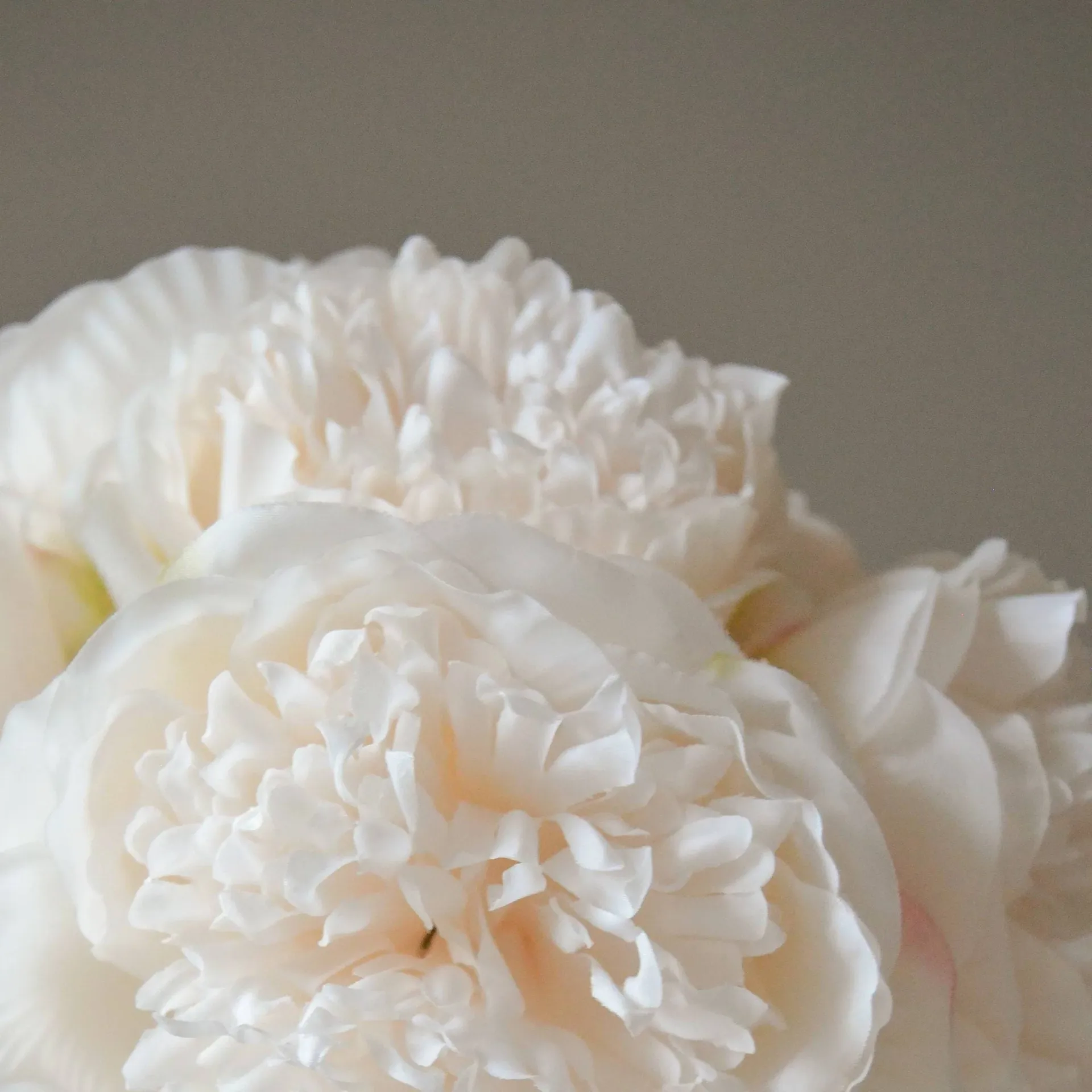 Bukiet sztucznych piwonii, Mini, cream, 10 szt. Botané