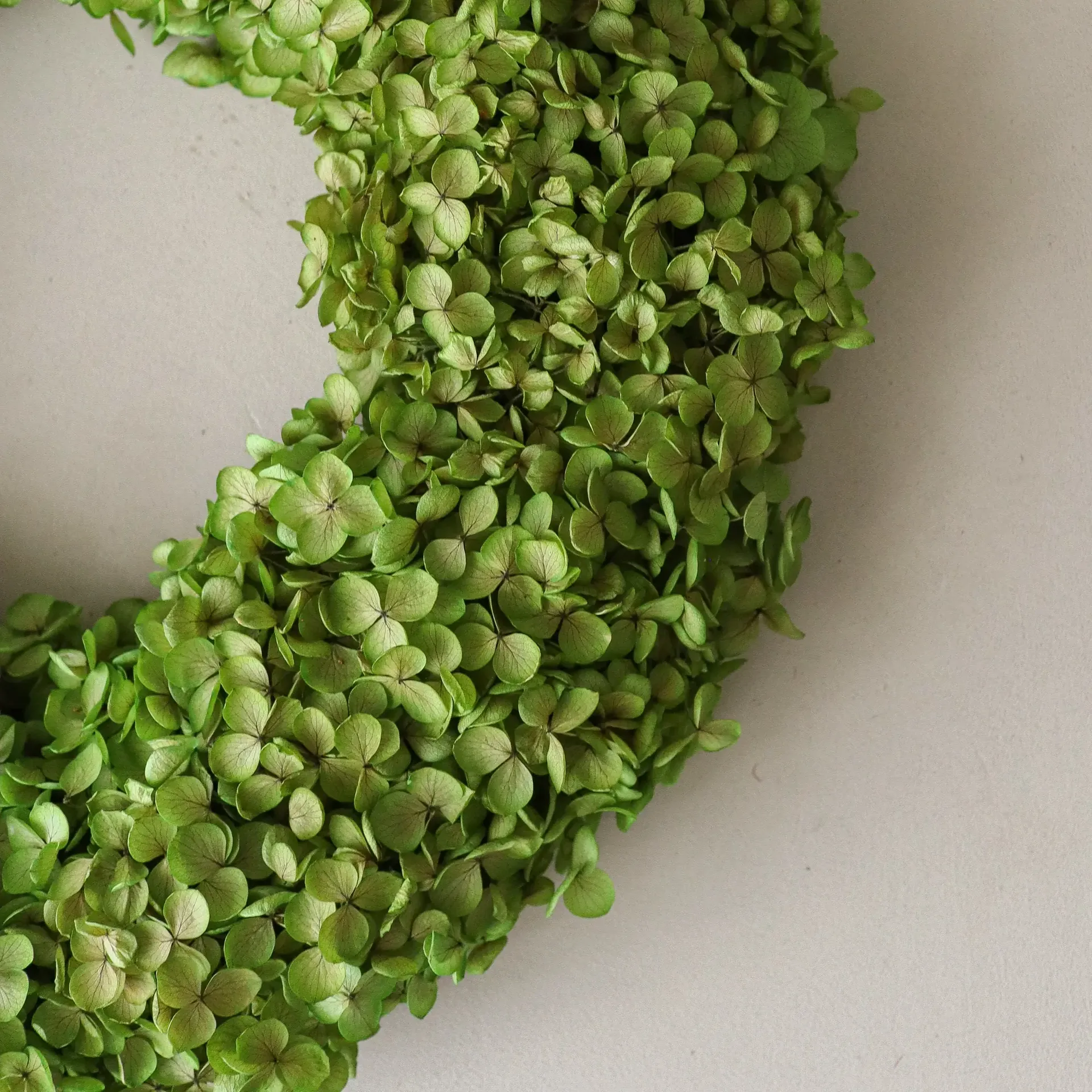 Hortensia Wreath wianek kwiatowy, Light green, Ø40 cm Botané