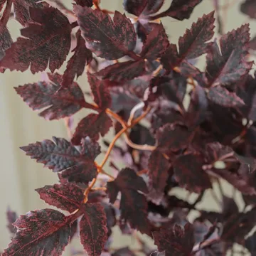 Sztuczny bukiet Burgundy Plum Leaves - Red, 85 cm, 1 szt. - Botané