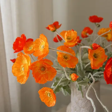 Sztuczny bukiet Poppy Sunset - Mak, 56 cm, 11 szt. - Botané