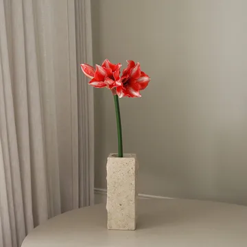 Sztuczny kwiat Amarylis - Ciemnoczerwony, 72 cm - Botané