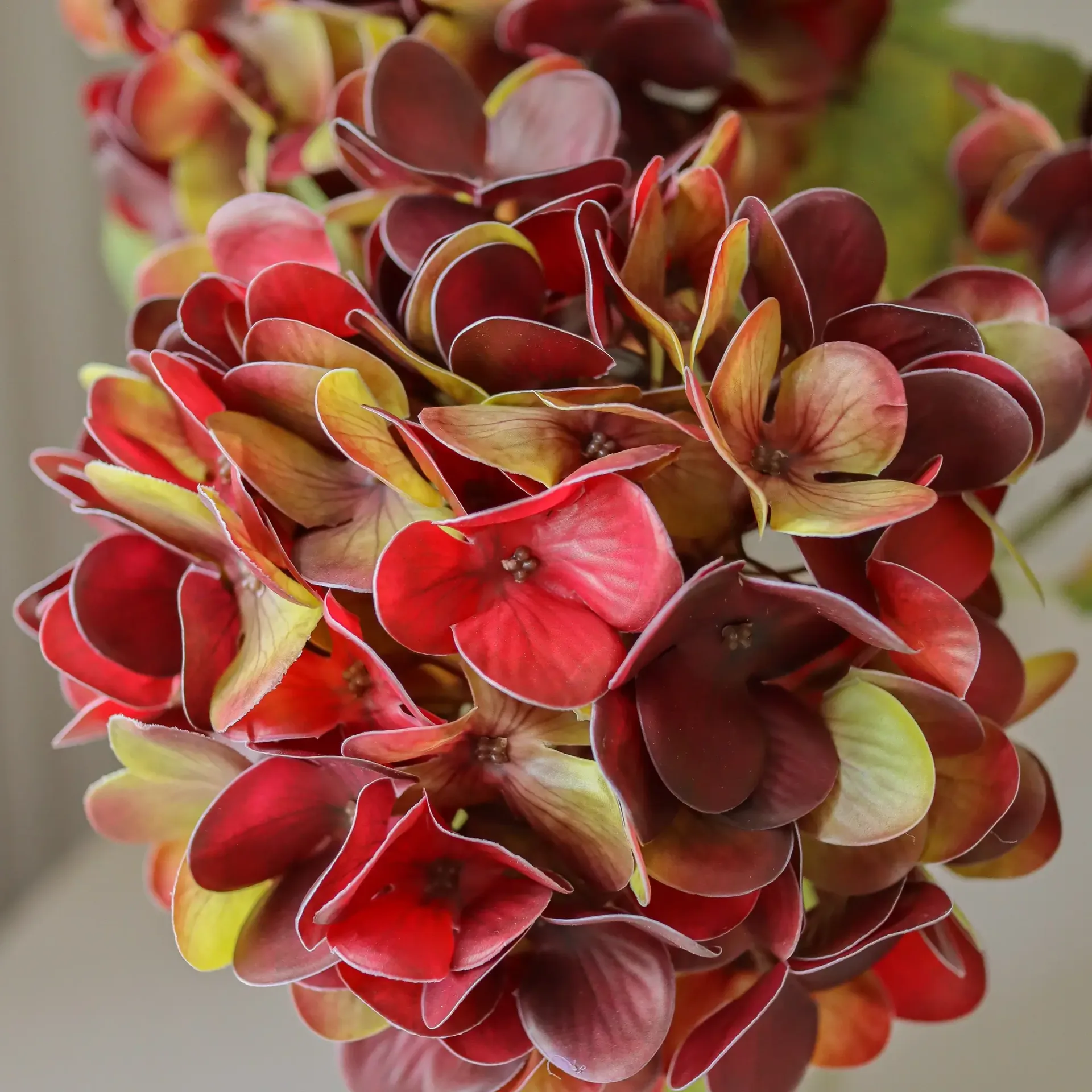 Sztuczny kwiat hortensji, Deep burgundy, 60 cm, 1 szt. Botané