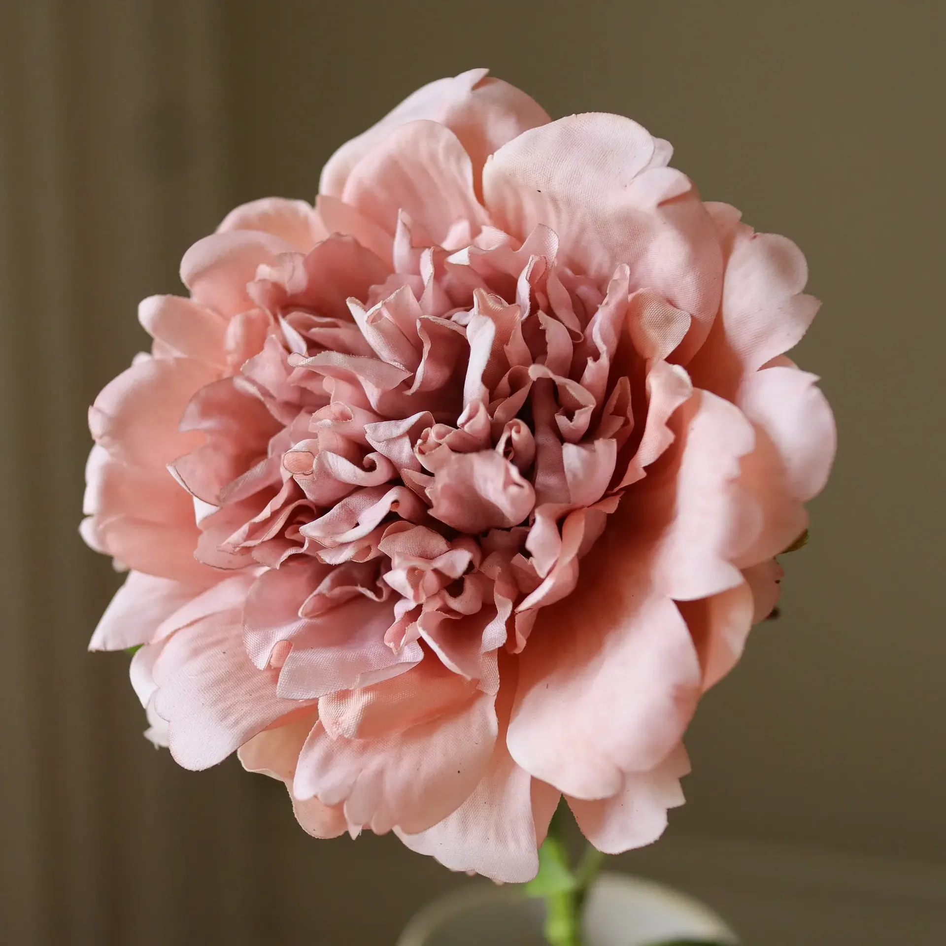 Sztuczny kwiat piwonii, Dusty pink, 56 cm, 1 szt. Botané