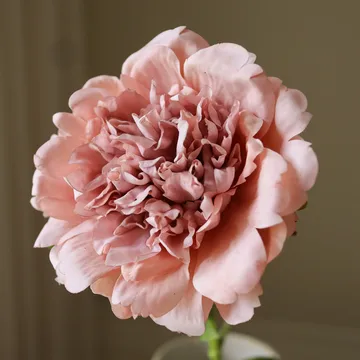 Sztuczny kwiat piwonii - Dusty pink, 56 cm, 1 szt. - Botané
