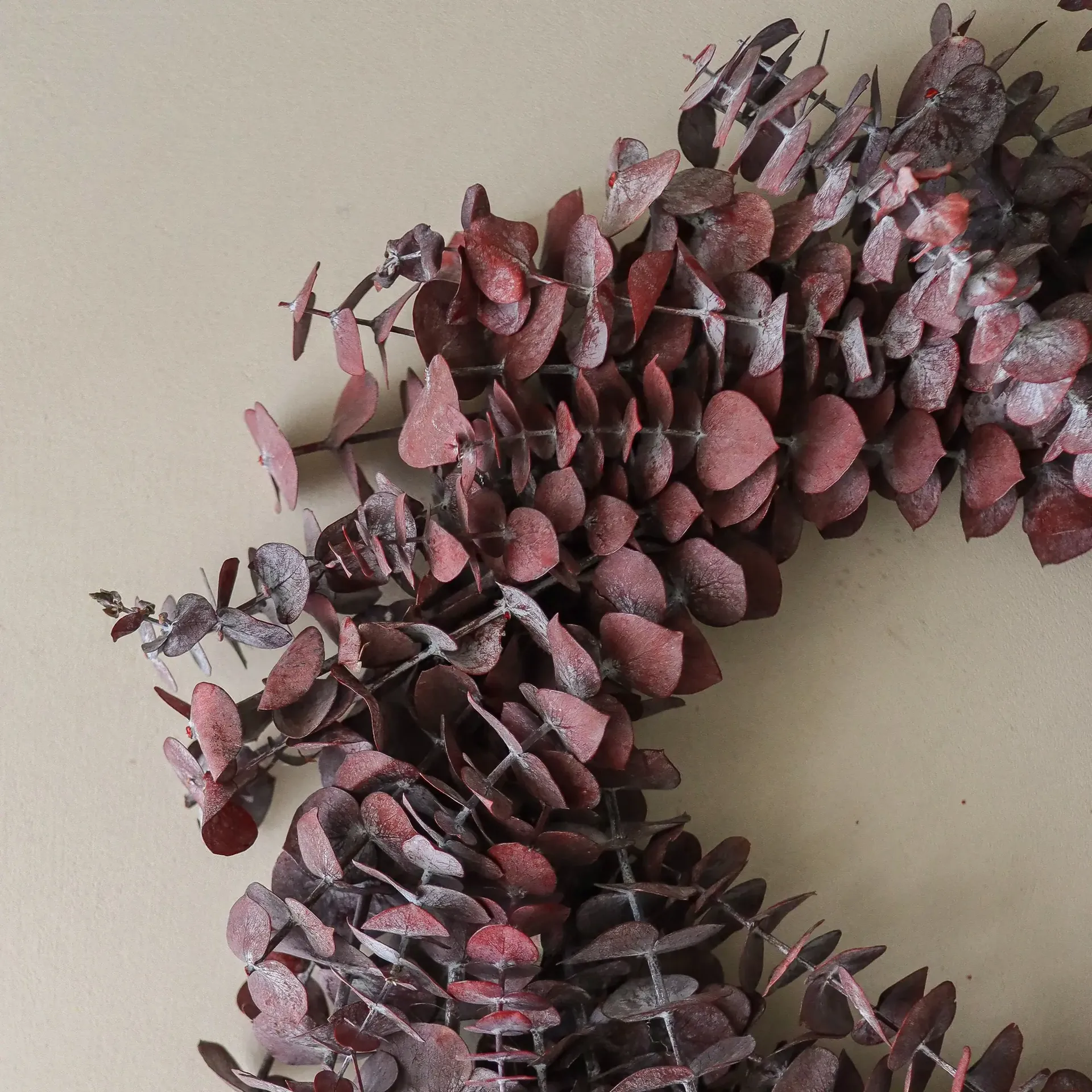 Wianek Eucalyptus Wreath, Dark red, Ø40 cm Botané