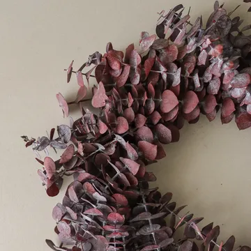 Wianek Eucalyptus Wreath - Dark red, Ø40 cm - Botané