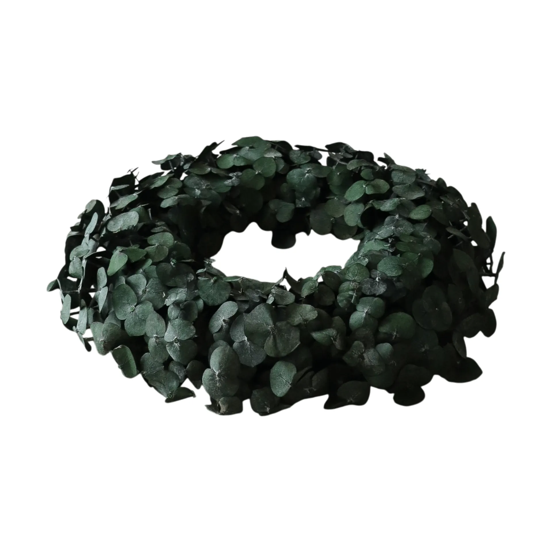 Wianek Eucalyptus Wreath, Green, Ø40 cm Botané