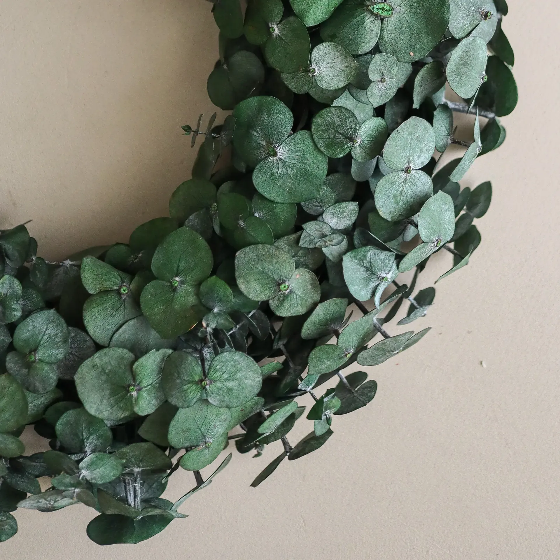 Wianek Eucalyptus Wreath, Green, Ø40 cm Botané
