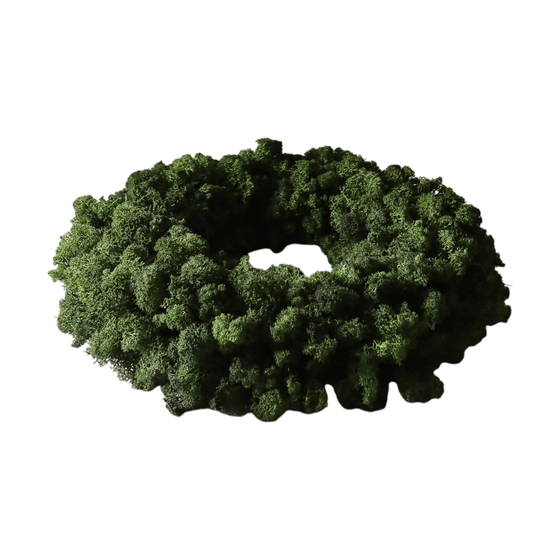 Wianek z mchu Moss Wreath, Green, Ø40 cm Botané