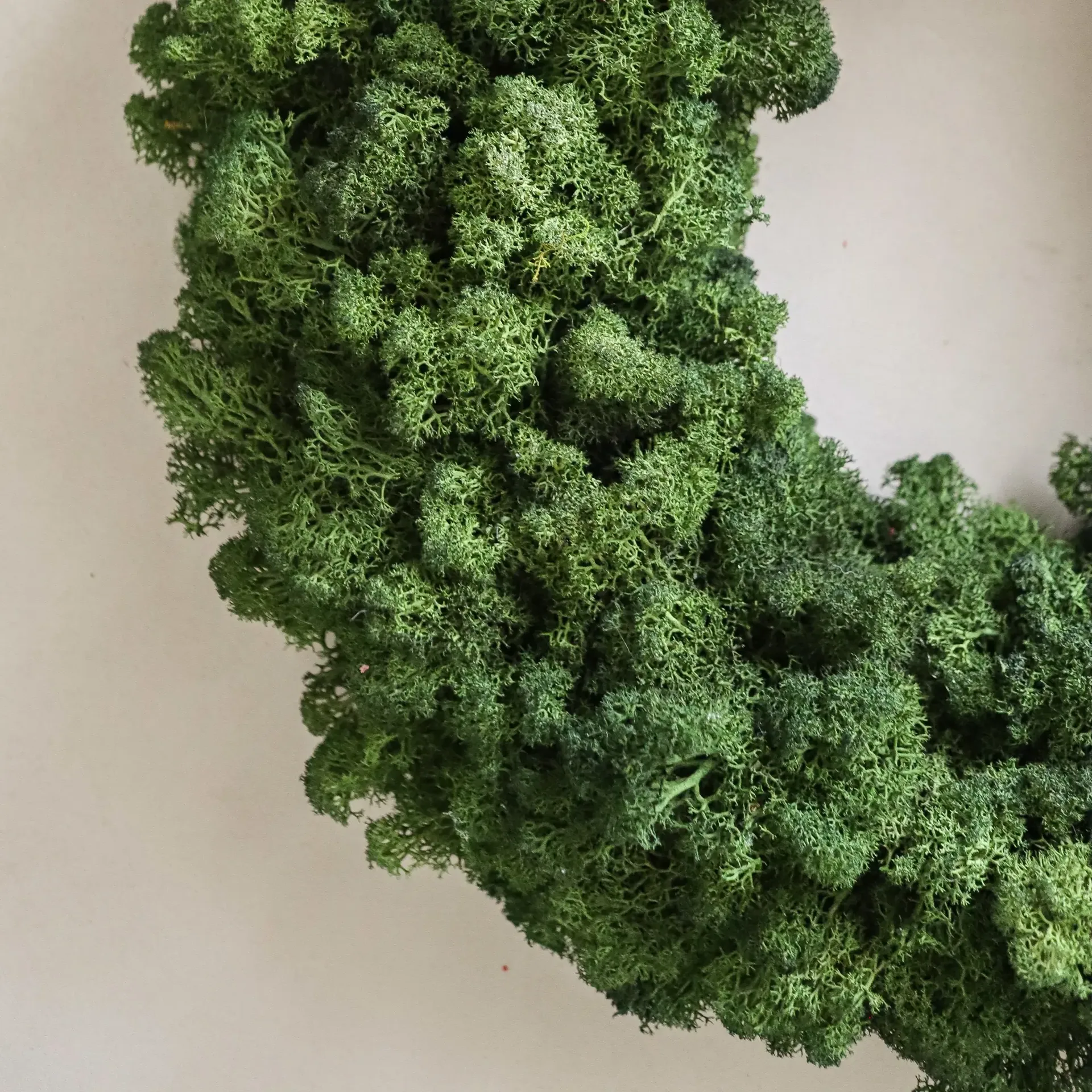Wianek z mchu Moss Wreath, Green, Ø40 cm Botané