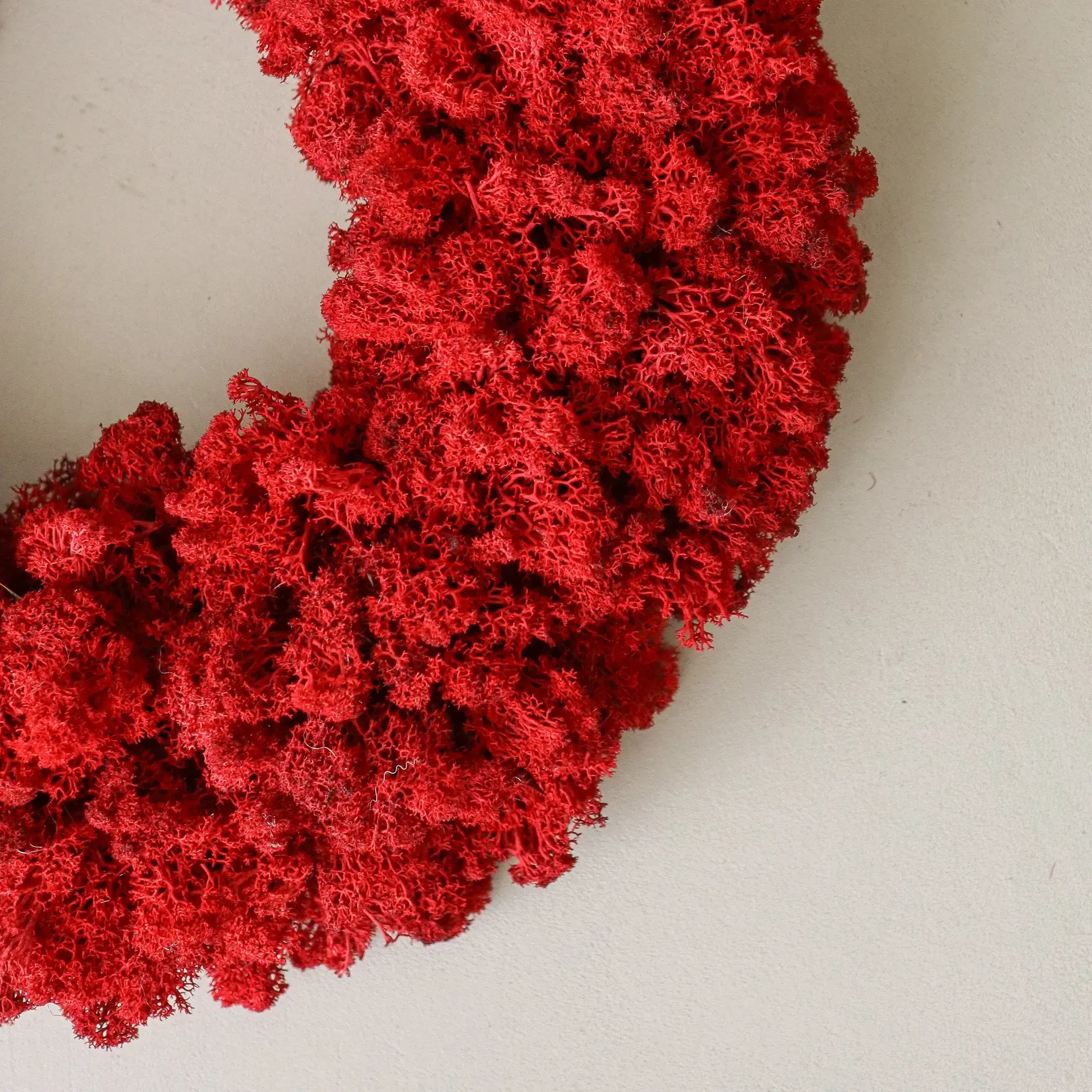 Wianek z mchu Moss Wreath, Red, Ø40 cm Botané