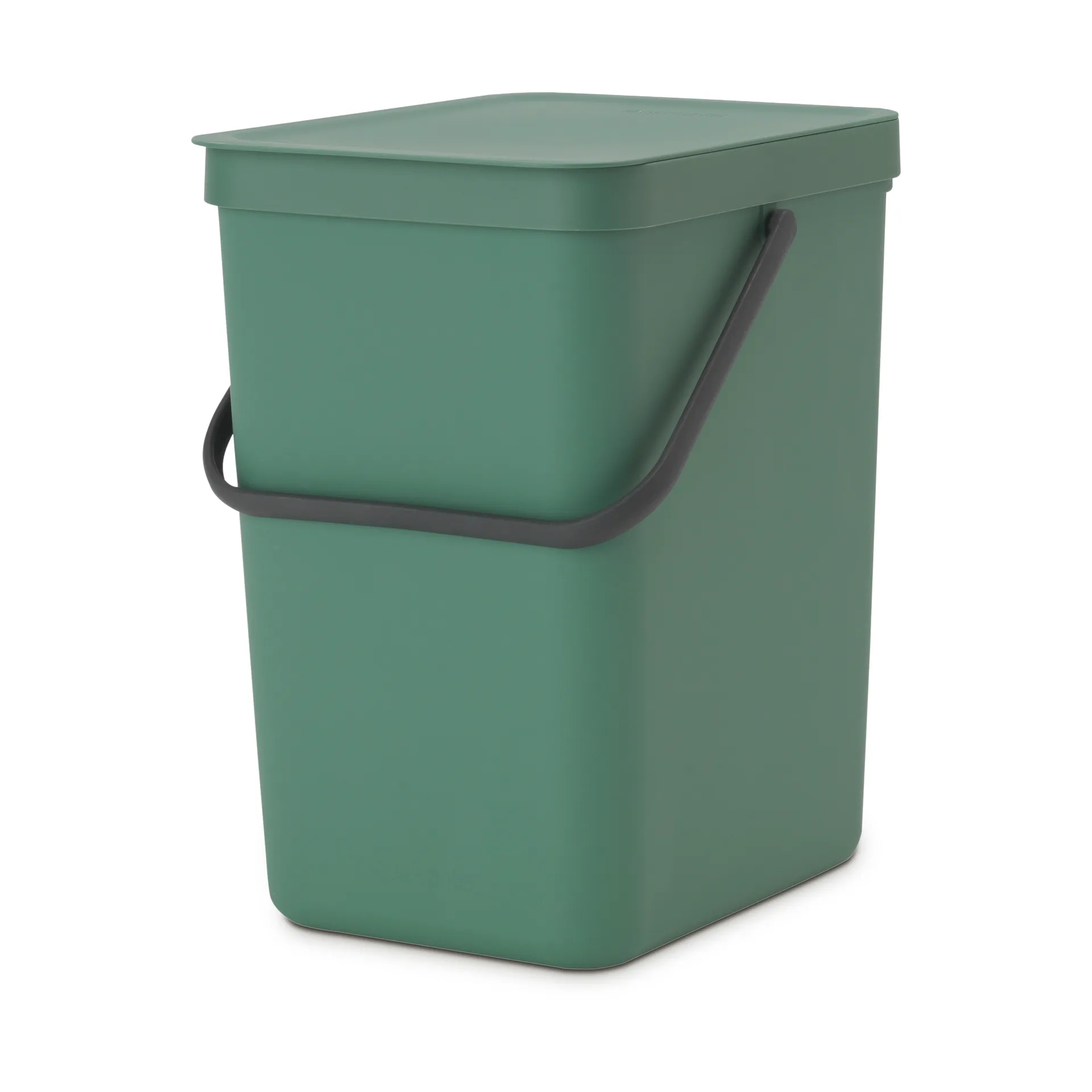 Kosz na odpady Sort & Go 25 l, Fir Green Brabantia