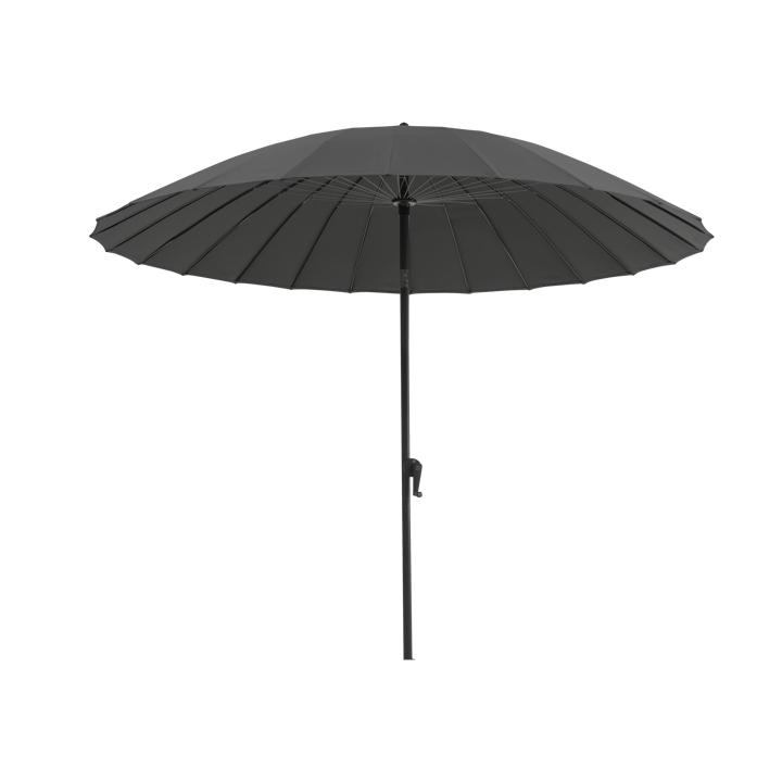 Shanghai parasol, Szary Brafab