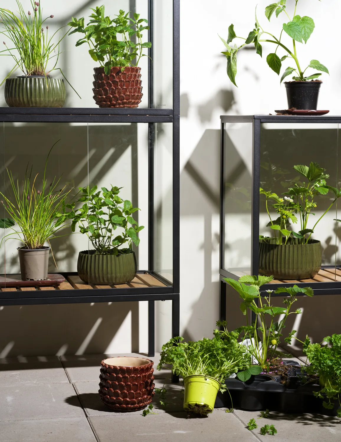 Szafka na rośliny Grower Greens, Czarny, 81x137 cm Brafab