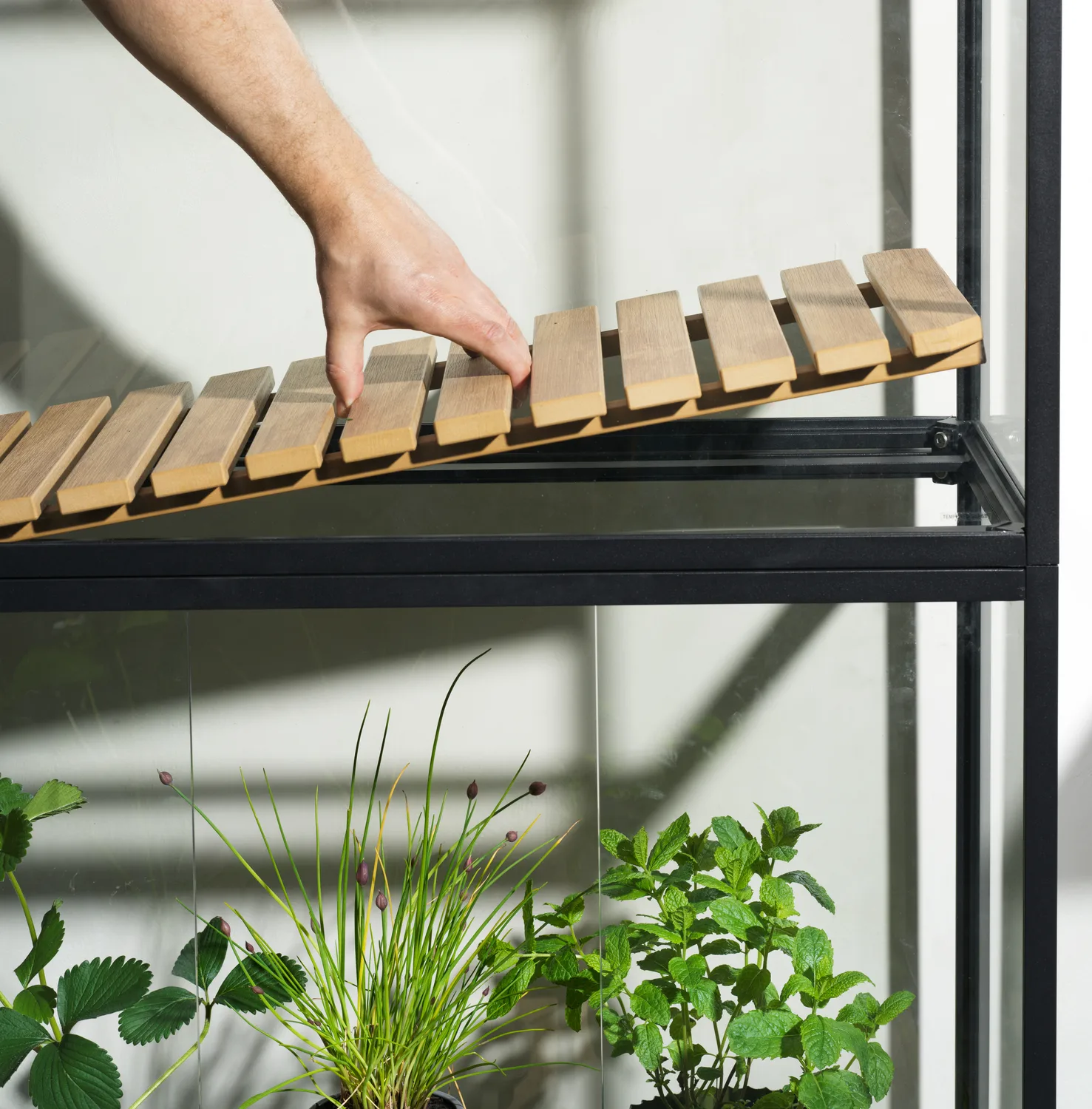 Szafka na rośliny Grower Greens, Czarny, 81x137 cm Brafab