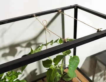 Szafka na rośliny Grower Greens - Czarny, 81x137 cm - Brafab