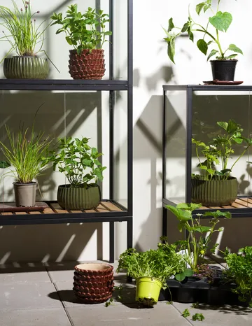 Szafka na rośliny Grower Greens - Czarny, 81x82 cm - Brafab