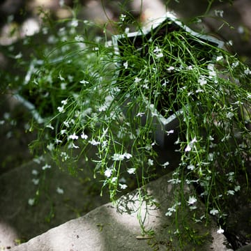 Doniczka Gwiazda - Aluminium, wysoka Ø30 cm - Byarums bruk