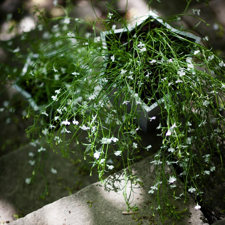 Doniczka Gwiazda - Aluminium, wysoka Ø30 cm - Byarums bruk