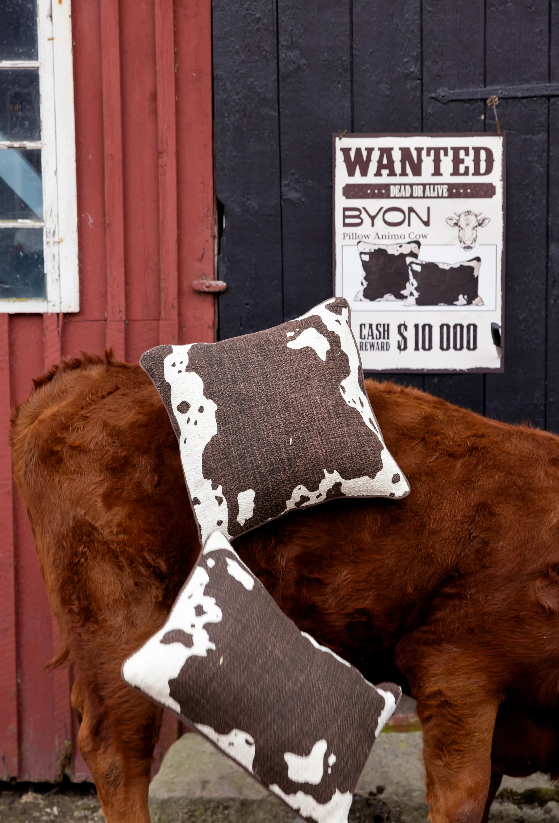 Poduszka Anima L 40x60 cm, Cow Byon