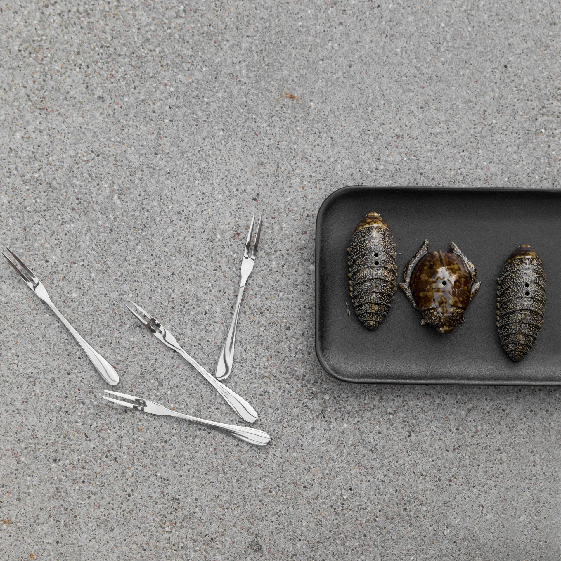 Solniczka i pieprzniczka w kształcie chrząszczy, Brązowa Byon