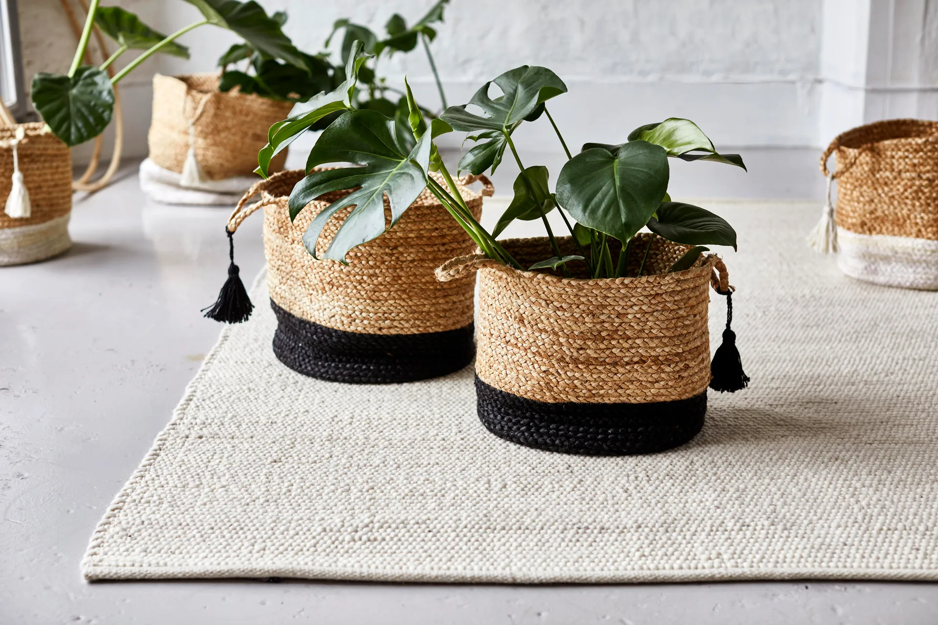 Dywan wełniany Merino, oat, 250x350 cm Classic Collection