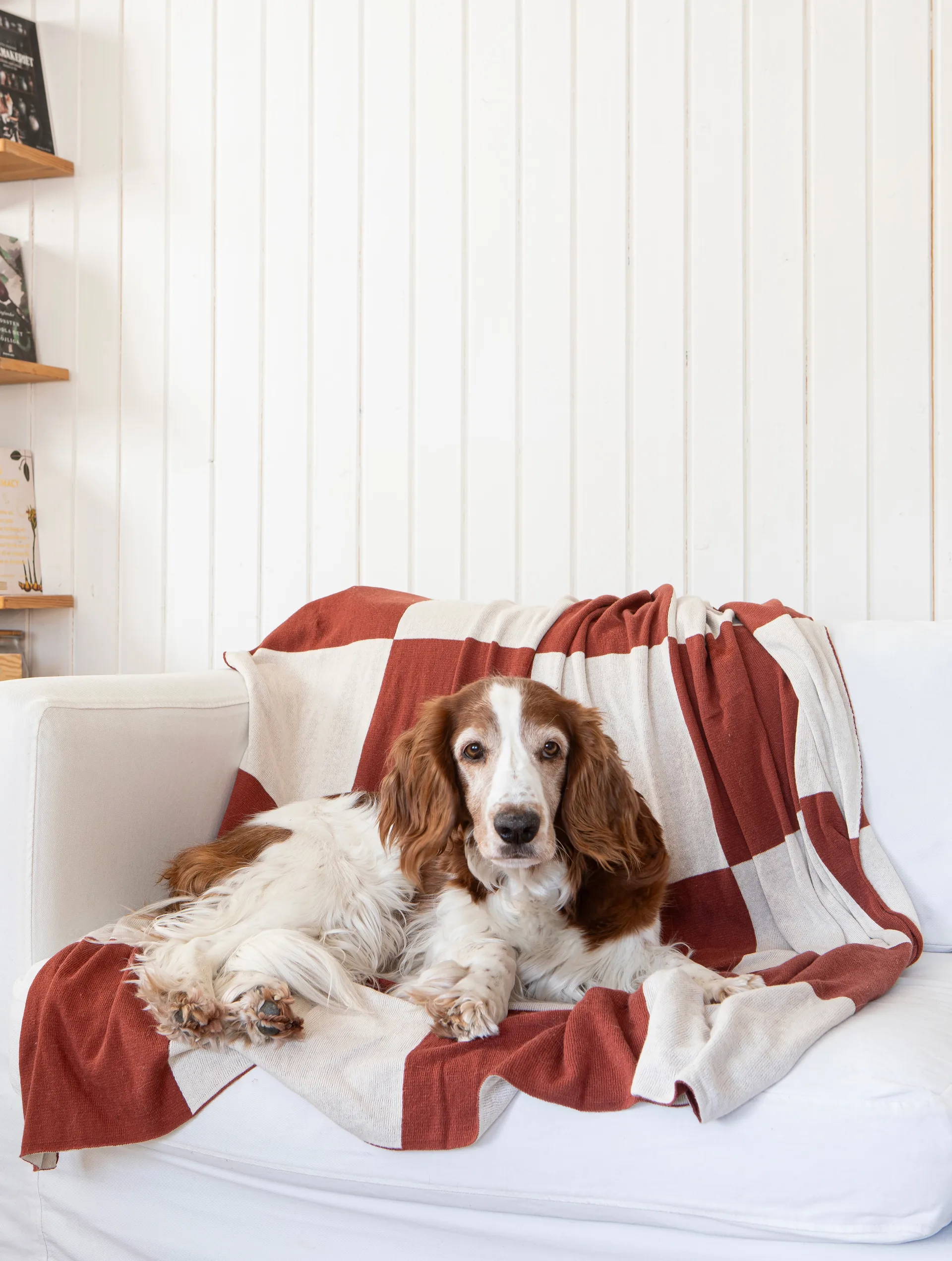 Koc Square 130x170 cm, Ciemnobrązowy Classic Collection