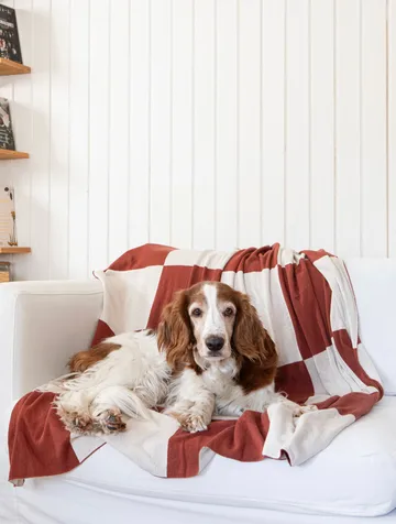 Koc Square 130x170 cm - Ciemnobrązowy - Classic Collection