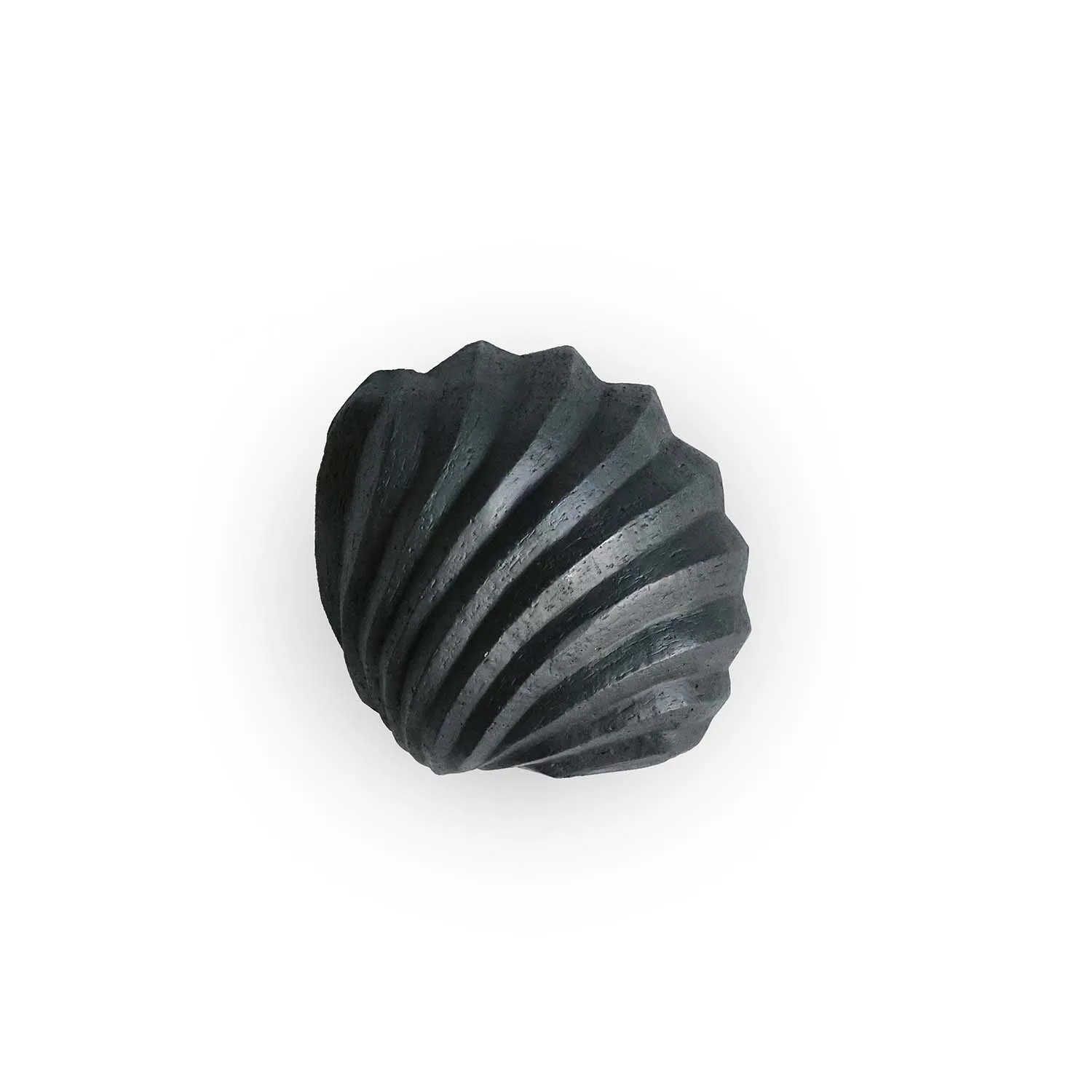 Rzeźba The Clam Shell 13 cm, Coal Cooee Design