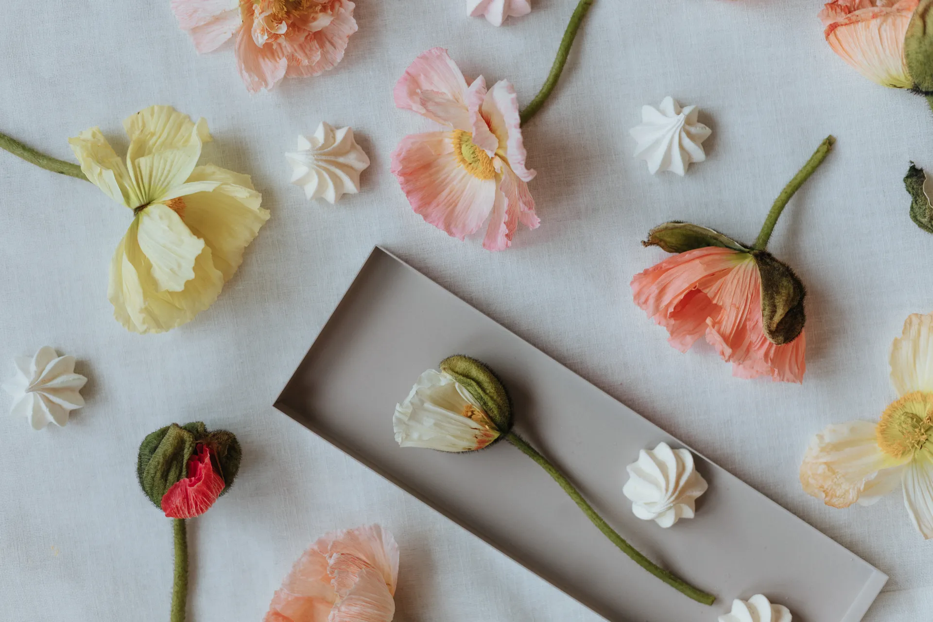 Taca Cooee 32 cm, piaskowy Cooee Design