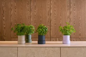 Samopodlewająca doniczka Billund - Lavender - Crushgrind