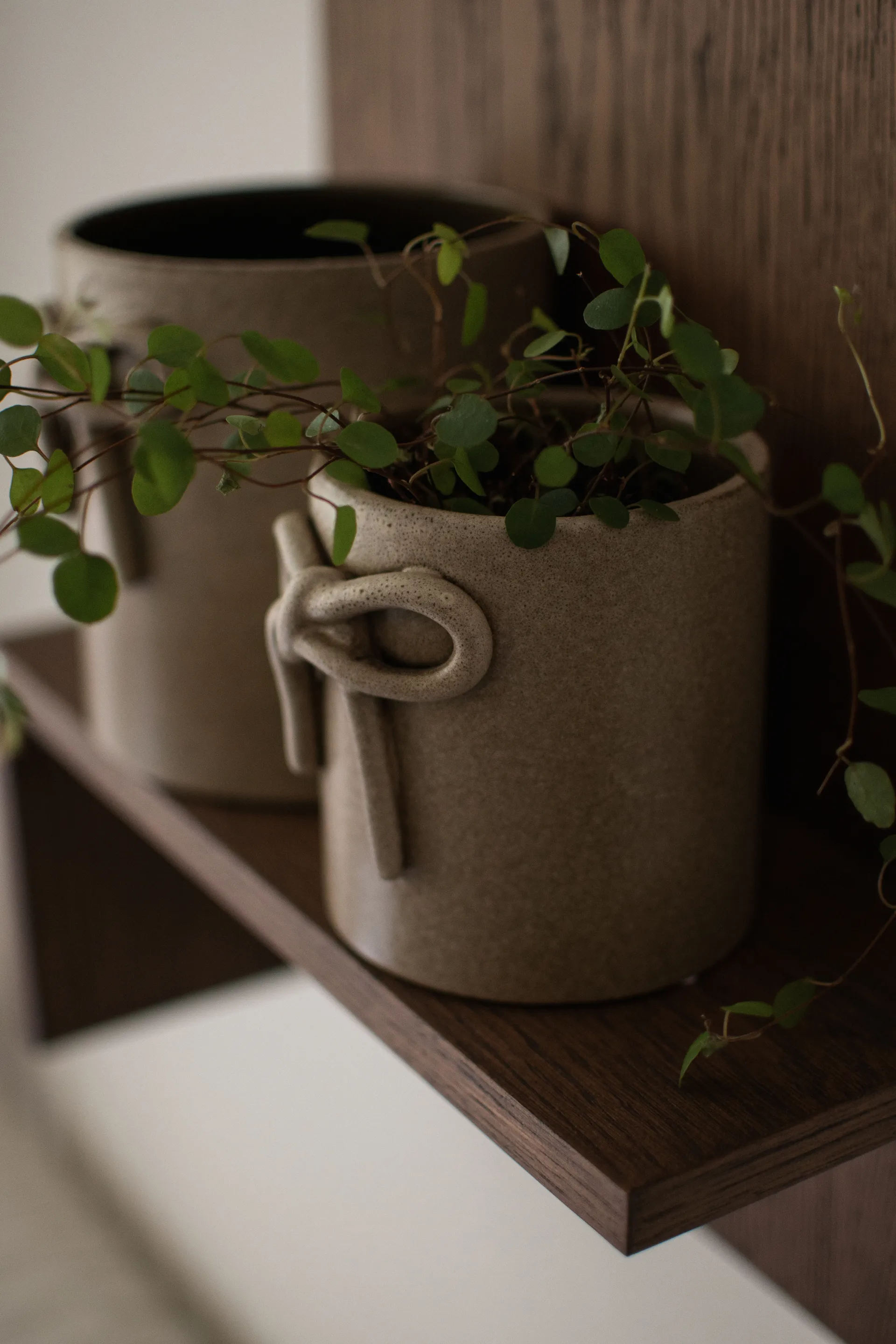 Doniczka Bow Ø11 cm, Beige DBKD