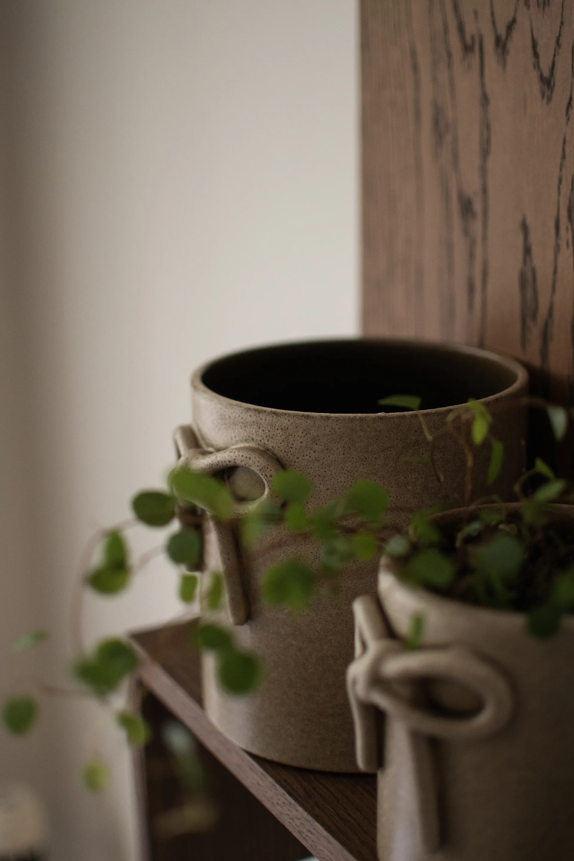 Doniczka Bow Ø14 cm, Beige DBKD